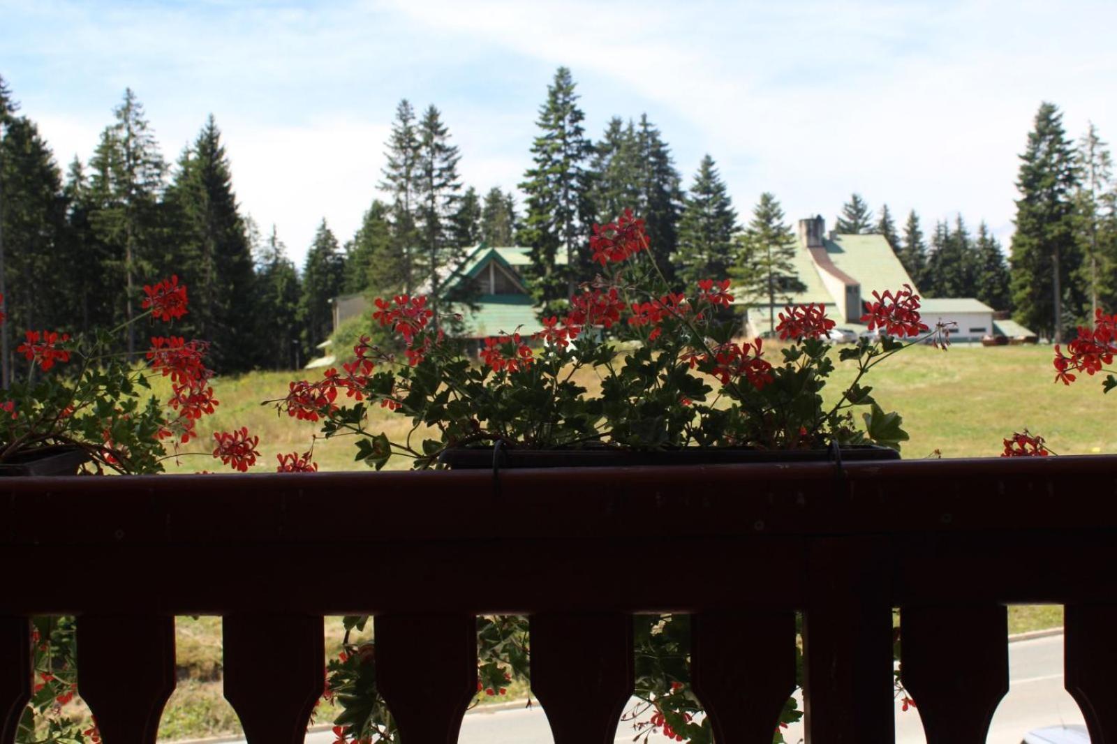 In Hotel Zlatar Ex Zlatarski Biseri Nova Varoš Exterior foto